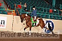 09yn-03646 thumbnail