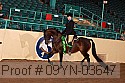 09yn-03647 thumbnail