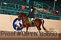 09yn-03650 thumbnail