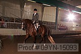 09yn-15093 thumbnail