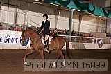 09yn-15099 thumbnail