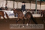 09yn-15101 thumbnail