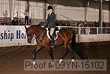09yn-15102 thumbnail