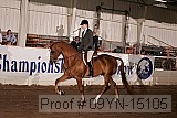09yn-15105 thumbnail