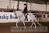 09yn-15106 thumbnail