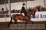 09yn-15110 thumbnail