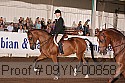 09yn-00858 thumbnail