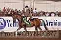 09yn-00877 thumbnail