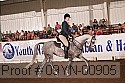 09yn-00905 thumbnail