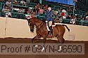 09yn-06590 thumbnail