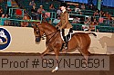 09yn-06591 thumbnail