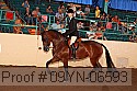 09yn-06593 thumbnail