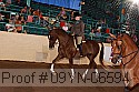 09yn-06594 thumbnail