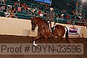 09yn-06596 thumbnail