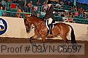 09yn-06597 thumbnail