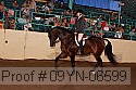 09yn-06599 thumbnail