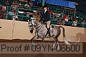 09yn-06600 thumbnail