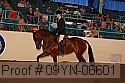 09yn-06601 thumbnail