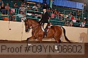 09yn-06602 thumbnail