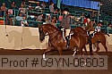 09yn-06603 thumbnail