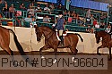 09yn-06604 thumbnail