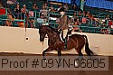 09yn-06605 thumbnail