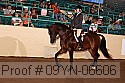 09yn-06606 thumbnail