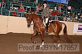 09yn-17857 thumbnail