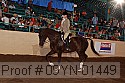 09yn-01449 thumbnail