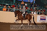 09yn-16029 thumbnail