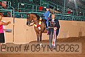 09yn-09262 thumbnail