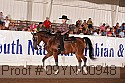 09yn-00948 thumbnail