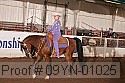 09yn-01025 thumbnail