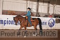 09yn-01026 thumbnail