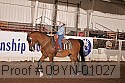 09yn-01027 thumbnail