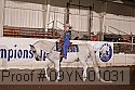 09yn-01031 thumbnail