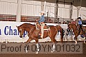 09yn-01032 thumbnail