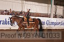 09yn-01033 thumbnail