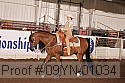 09yn-01034 thumbnail