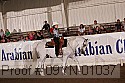 09yn-01037 thumbnail