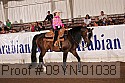 09yn-01038 thumbnail