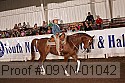 09yn-01042 thumbnail