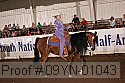 09yn-01043 thumbnail