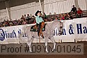 09yn-01045 thumbnail