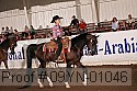 09yn-01046 thumbnail
