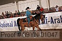 09yn-01047 thumbnail