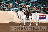 09yn-20453 thumbnail