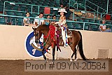 09yn-20584 thumbnail