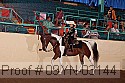 09yn-03144 thumbnail
