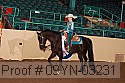 09yn-03231 thumbnail